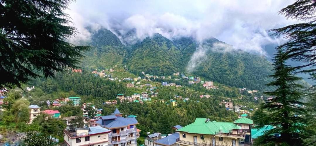 Oasis Guest House Bhagsu D'Shala Дармсала Экстерьер фото