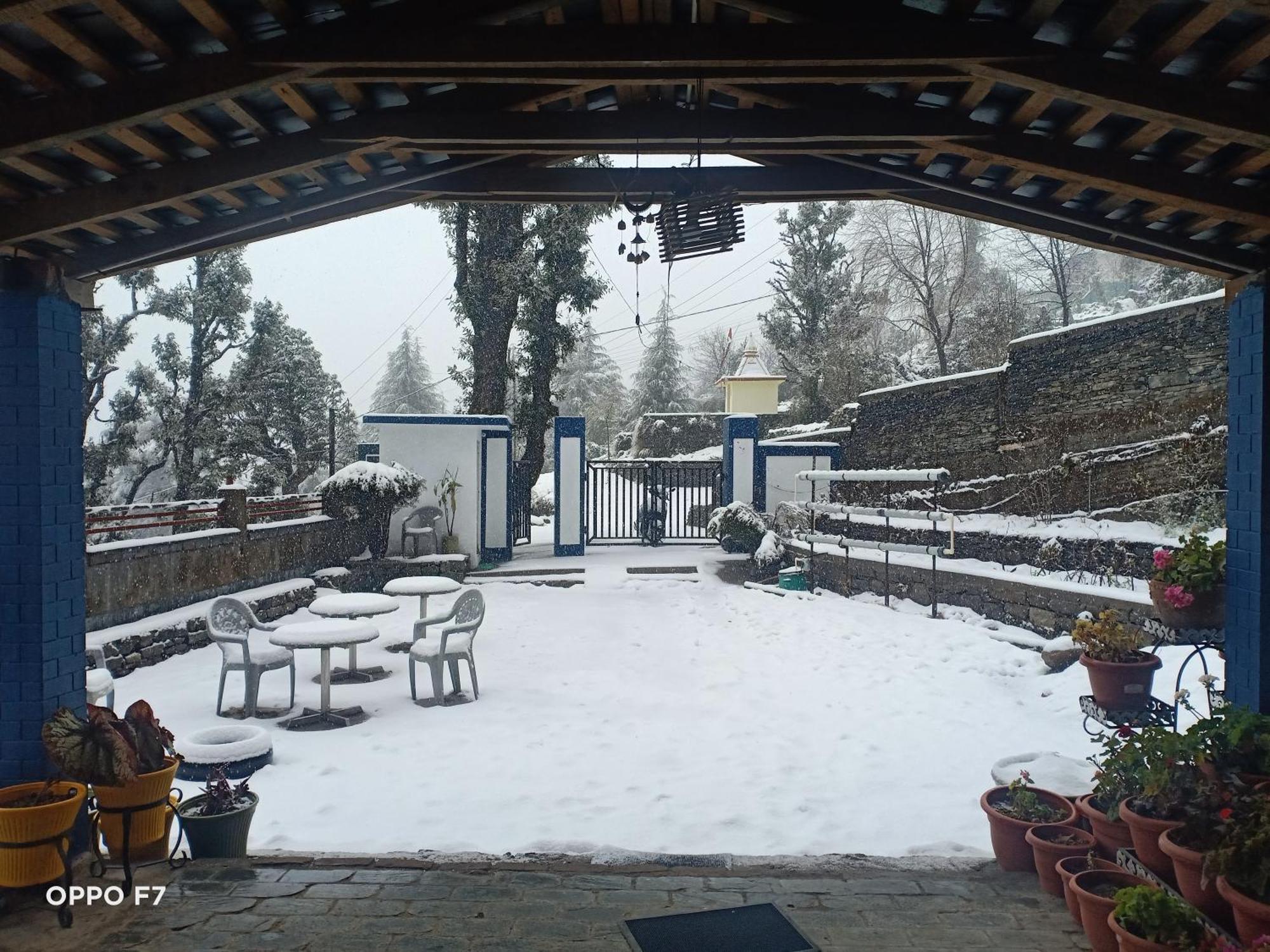 Oasis Guest House Bhagsu D'Shala Дармсала Экстерьер фото