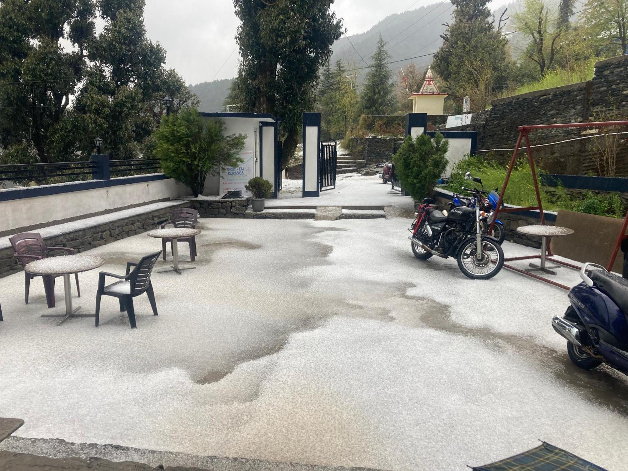 Oasis Guest House Bhagsu D'Shala Дармсала Экстерьер фото
