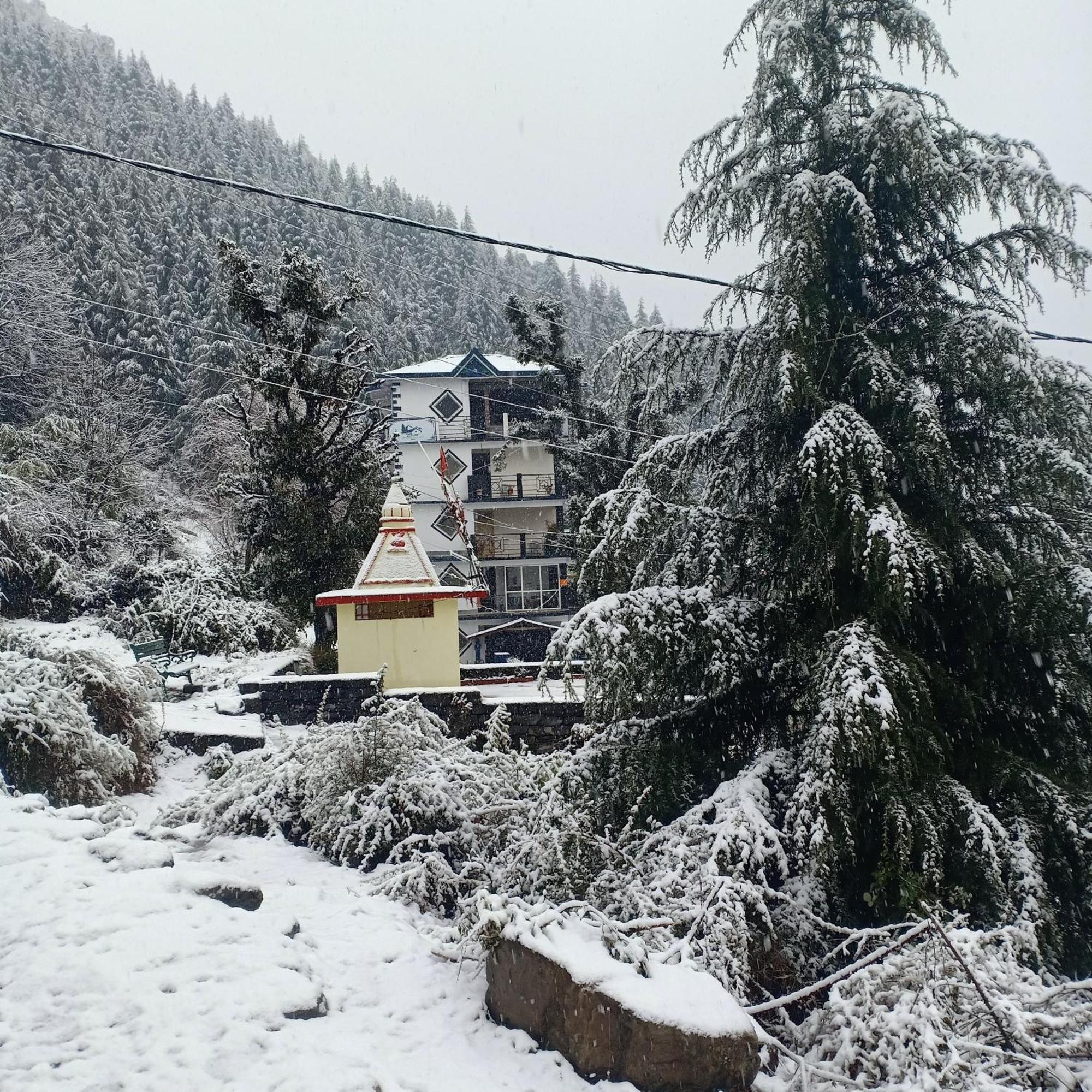 Oasis Guest House Bhagsu D'Shala Дармсала Экстерьер фото