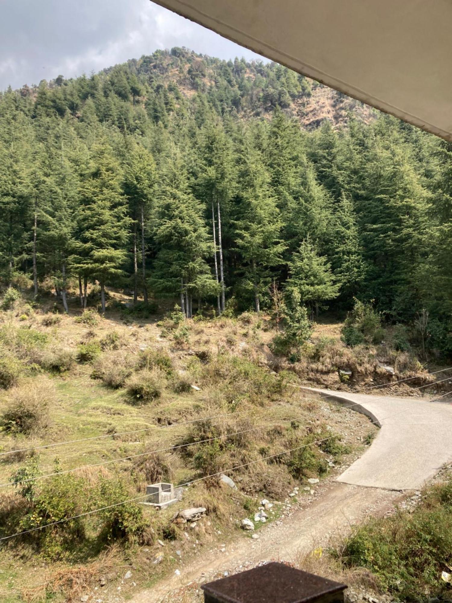 Oasis Guest House Bhagsu D'Shala Дармсала Экстерьер фото